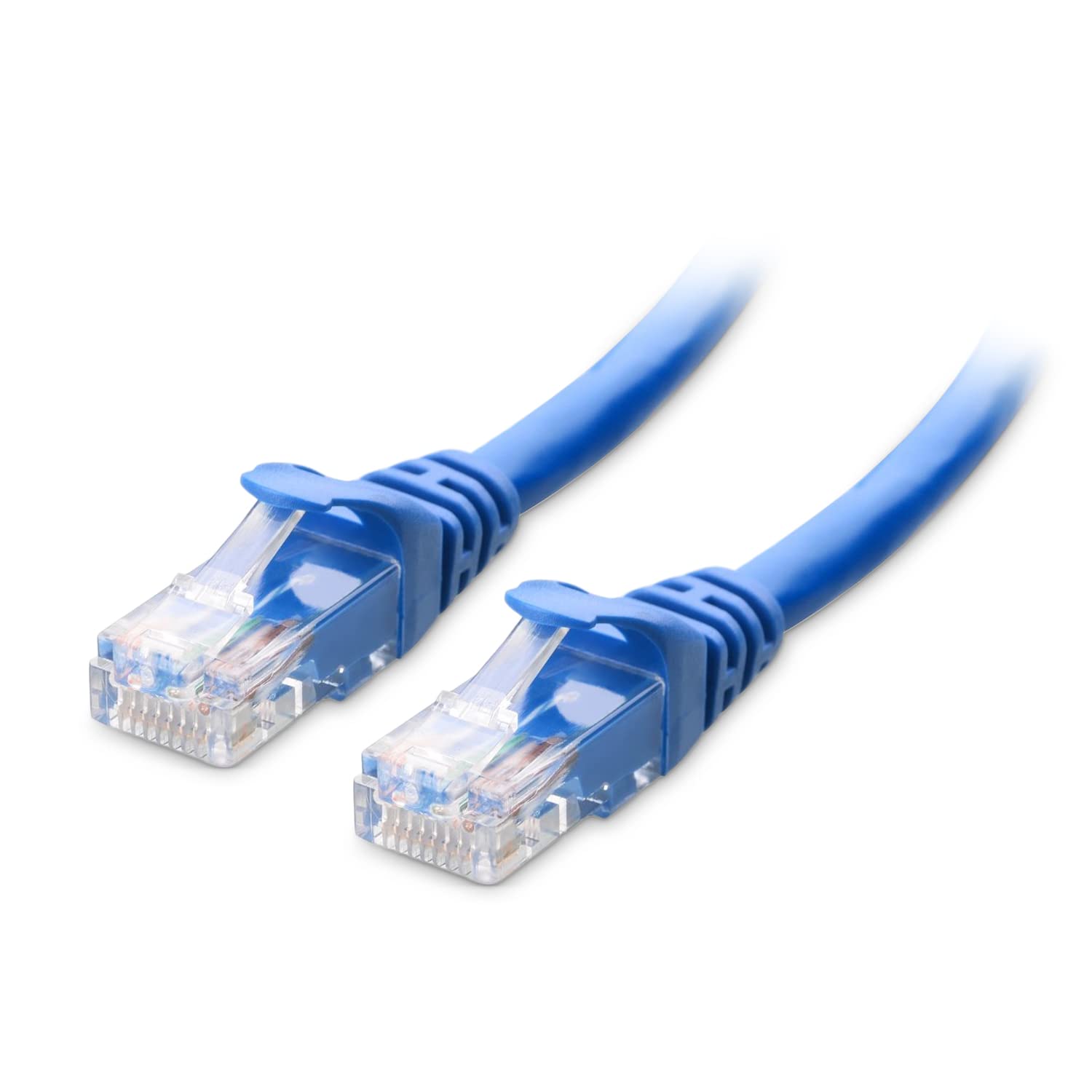 cat63.jpg